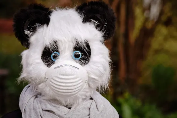 비트릴스 카지노 지원